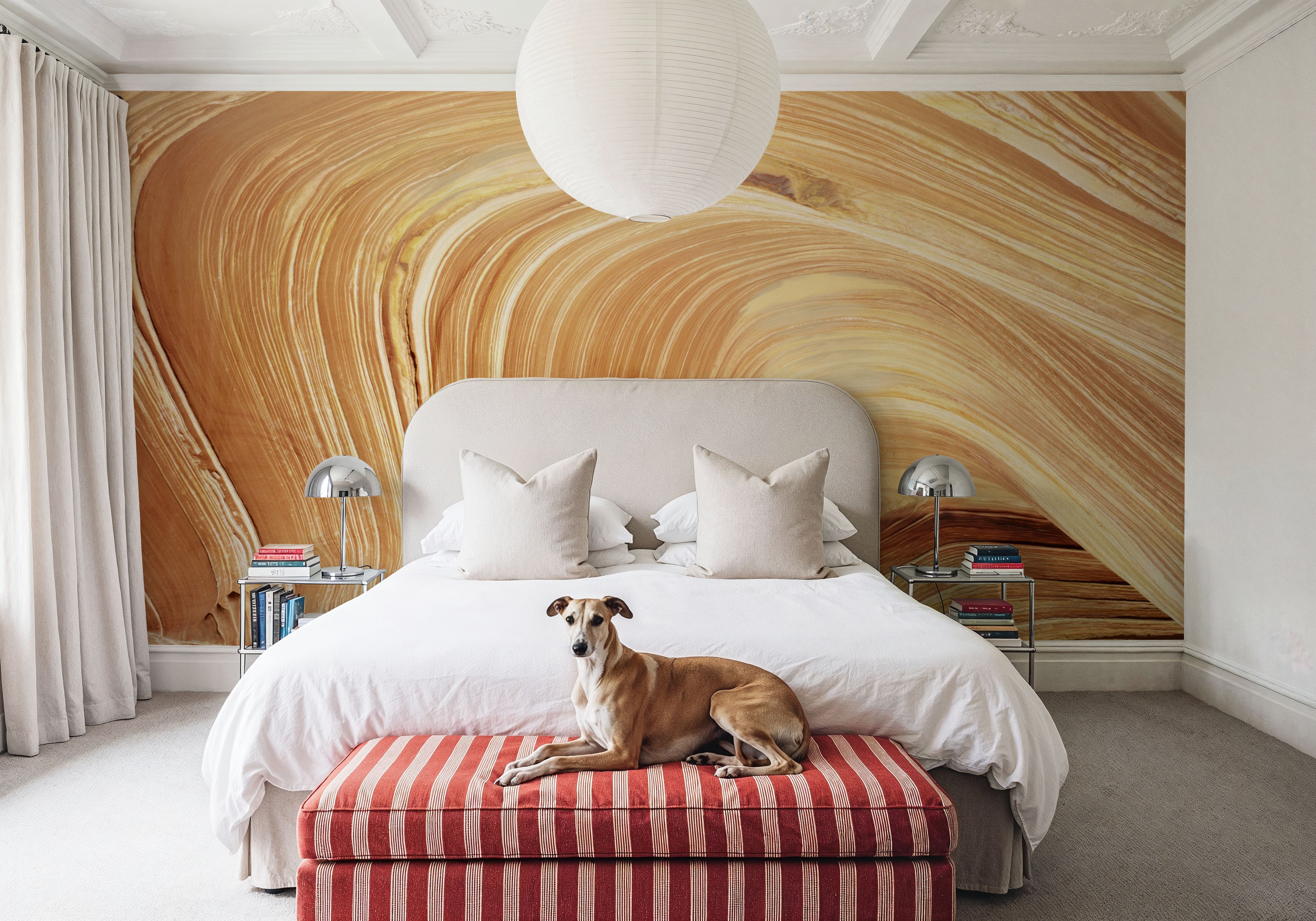 The Light Wave, Papel pintado