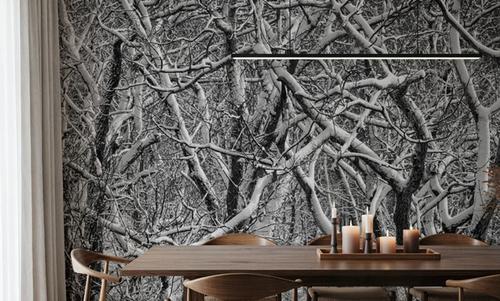 Snow Branches