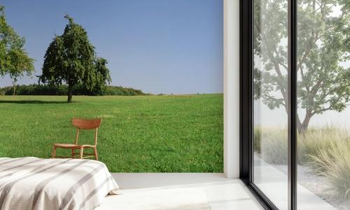 Tranquil Tree Line