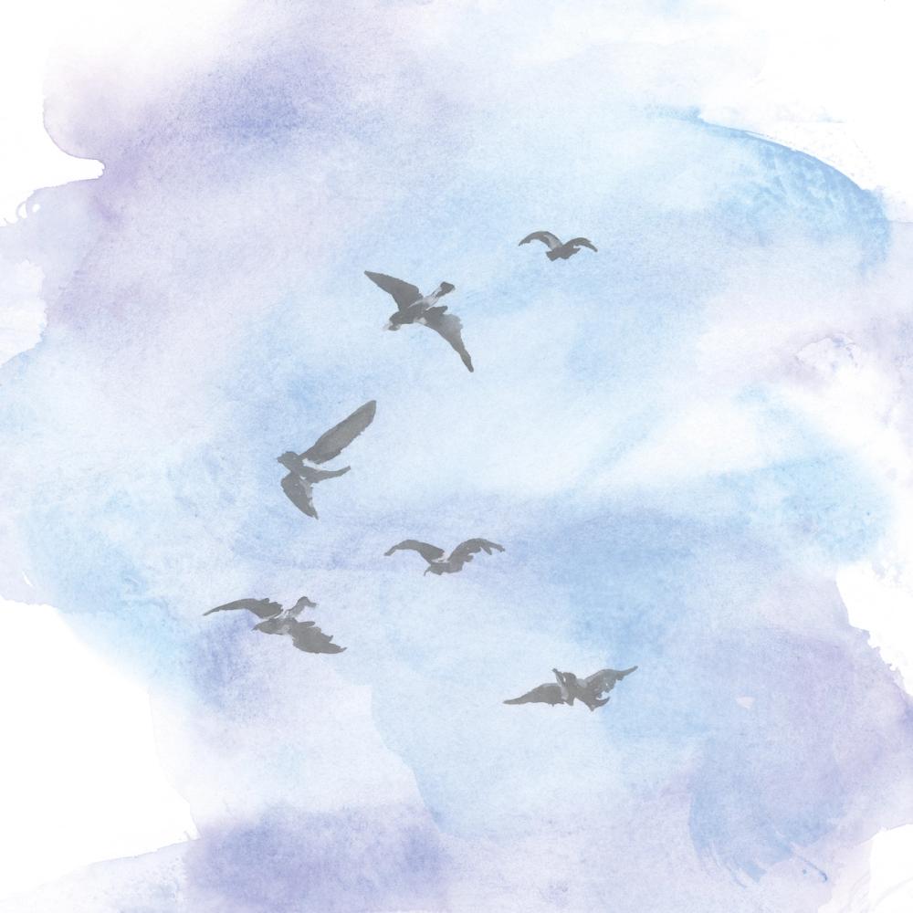 In Flight II