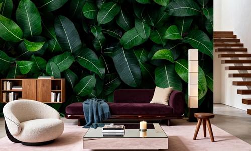 Chlorophyll