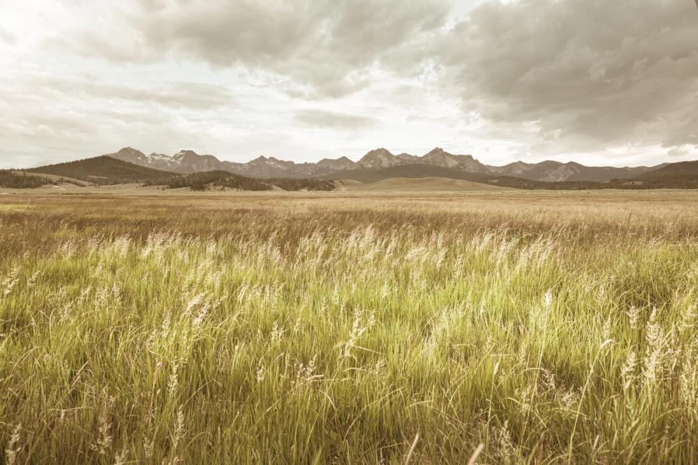 Sawtooth Mountains Panorama