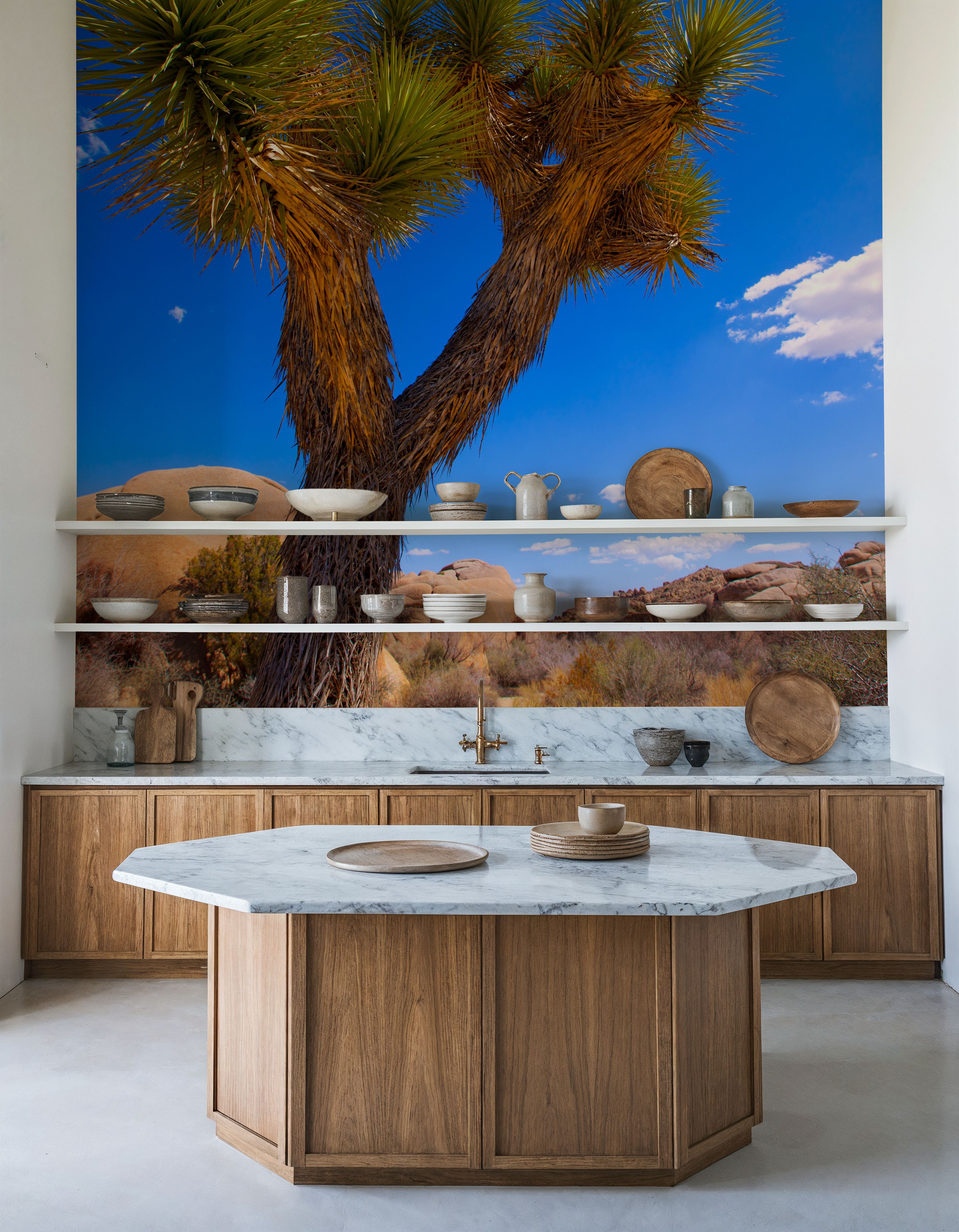 Joshua Tree Blue X