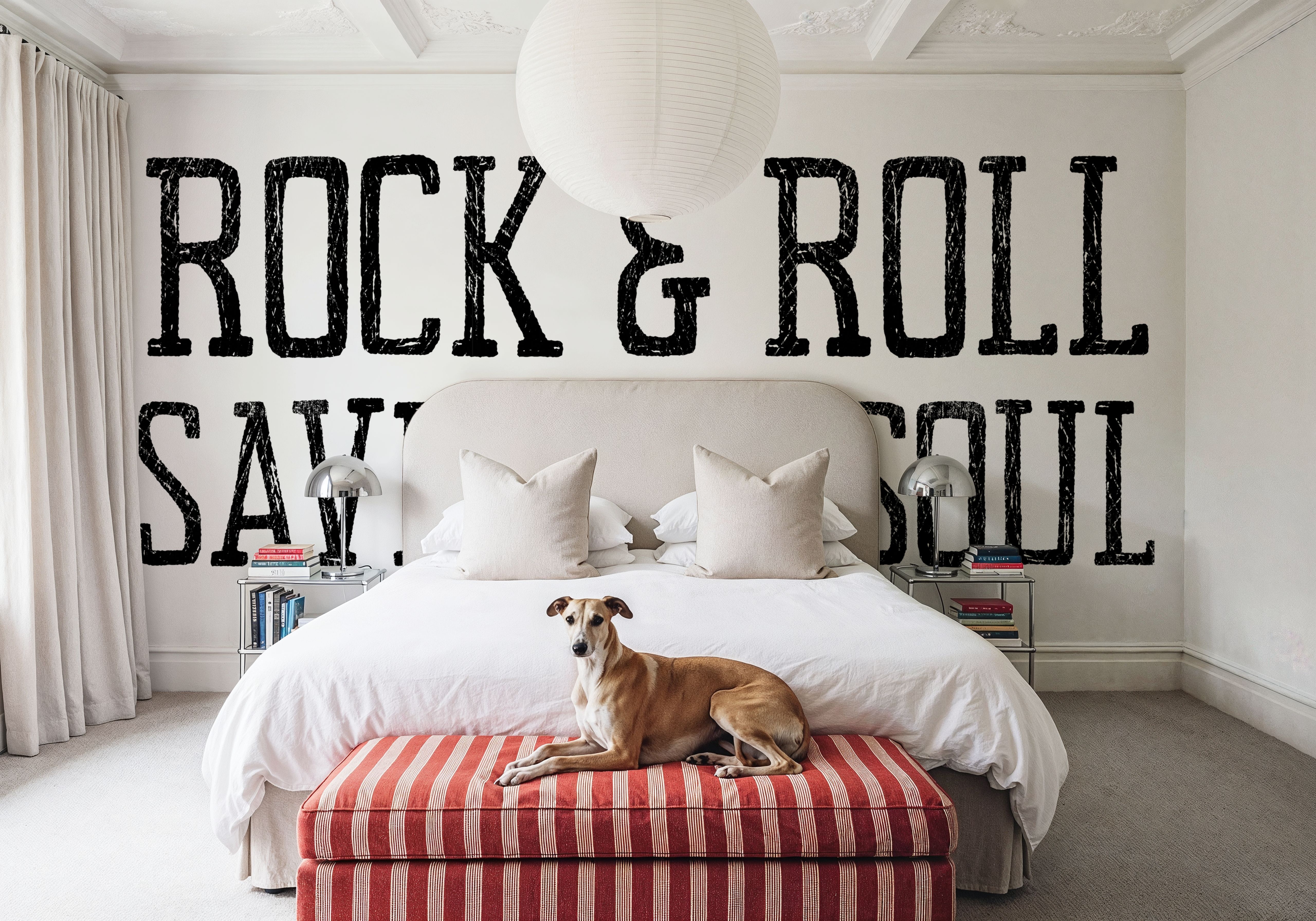 Rock and Roll Save my Soul