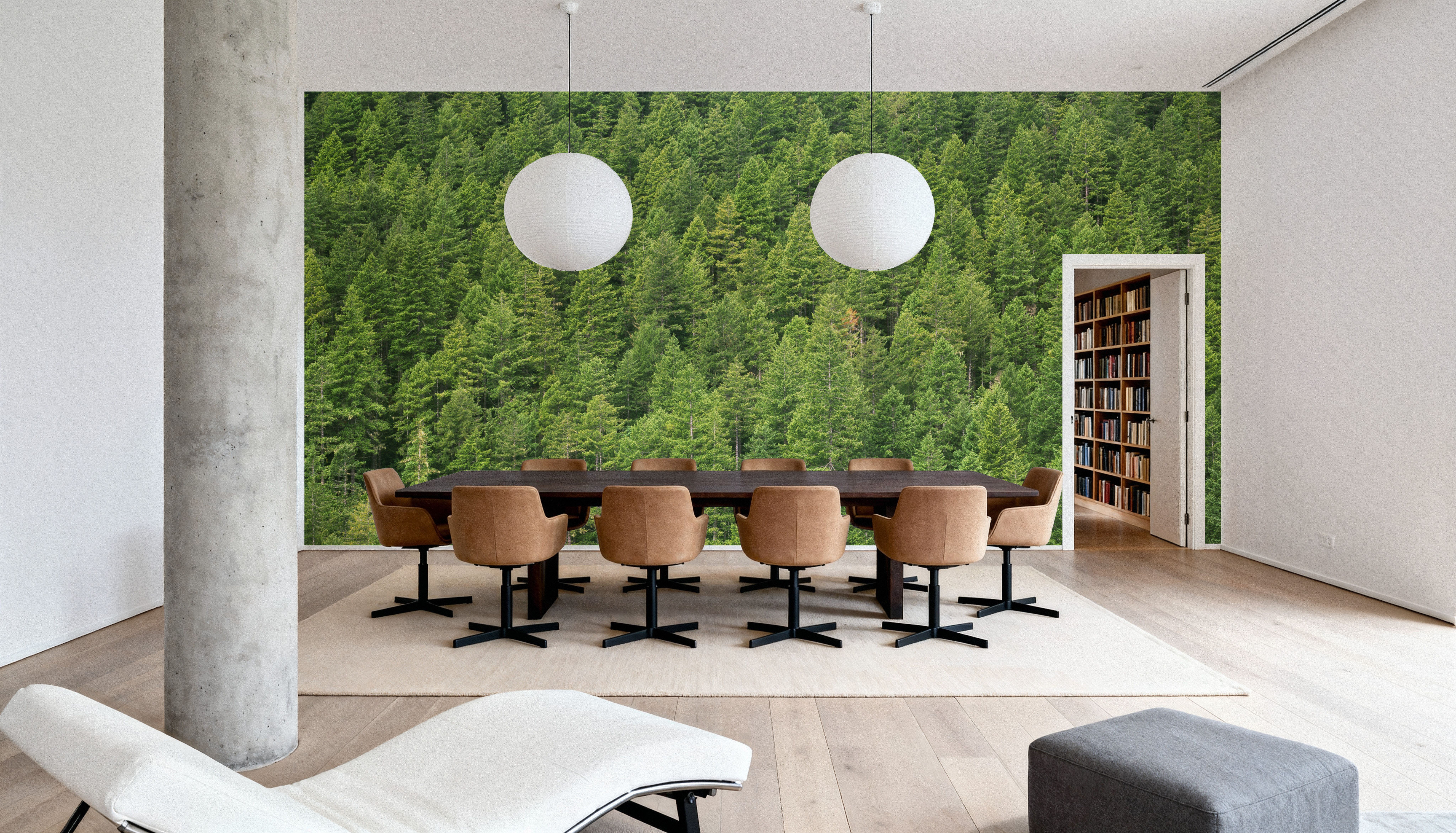 Evergreen Forest in Washintong State