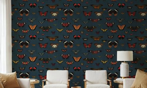 Butterfly Collection Teal