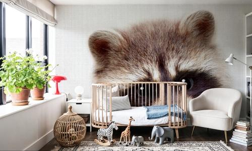 Peekaboo Raccoon