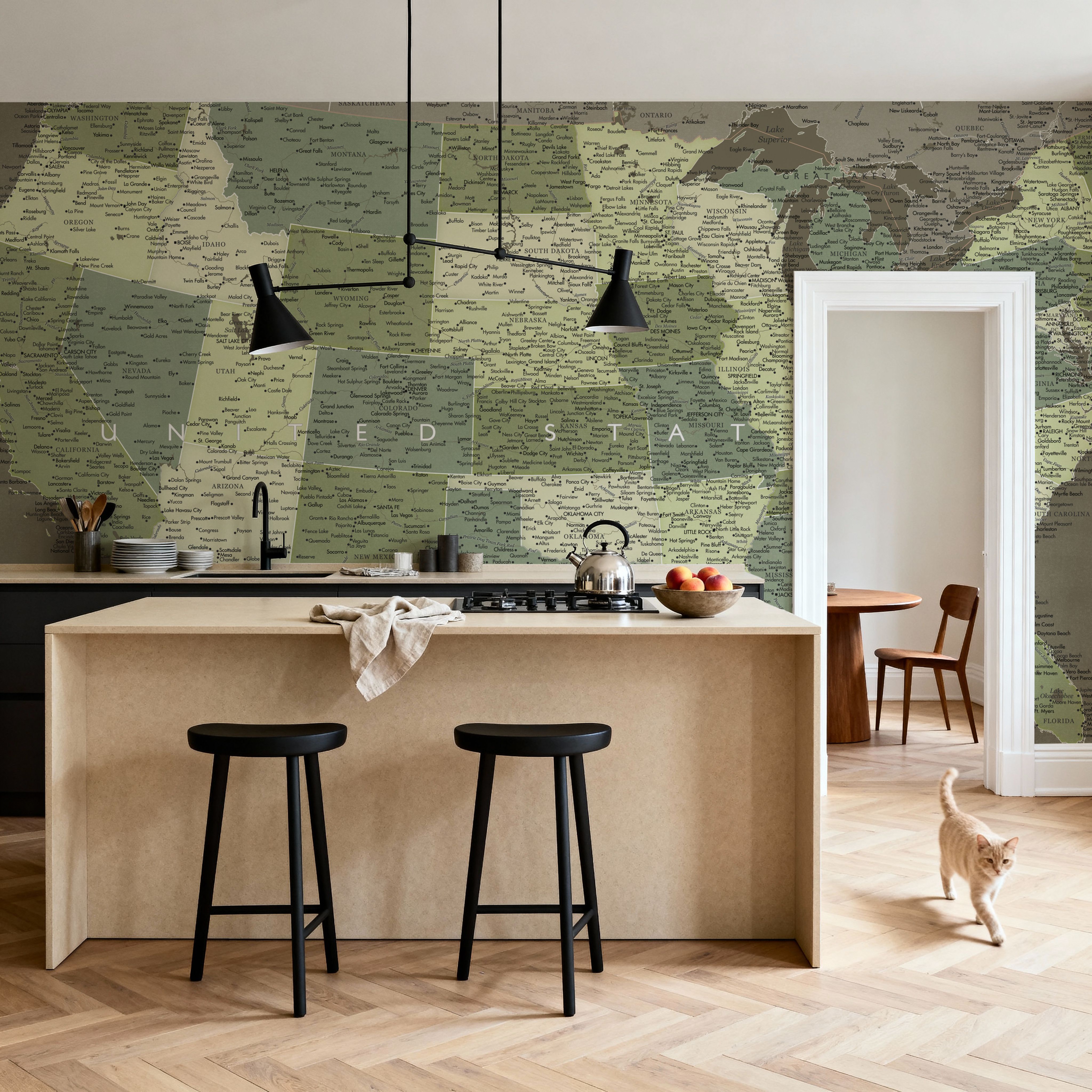 US Map Detailed - Camo
