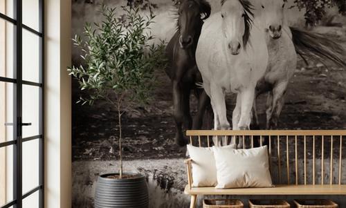 Three Wild Horses Sepia