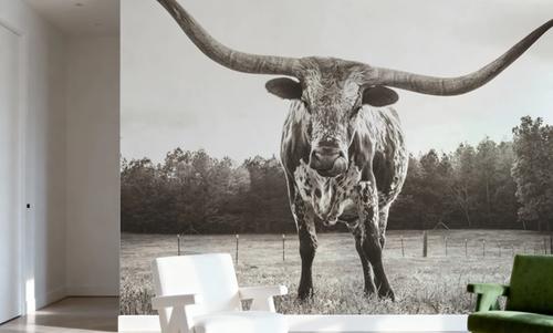 Longhorn Last Call BW No Tail