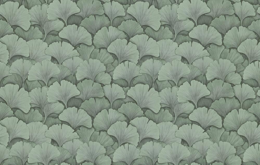 Ginkgo Folia, Eucalyptus