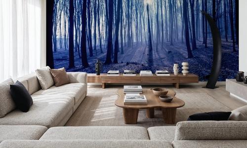 Misty Blue Forest