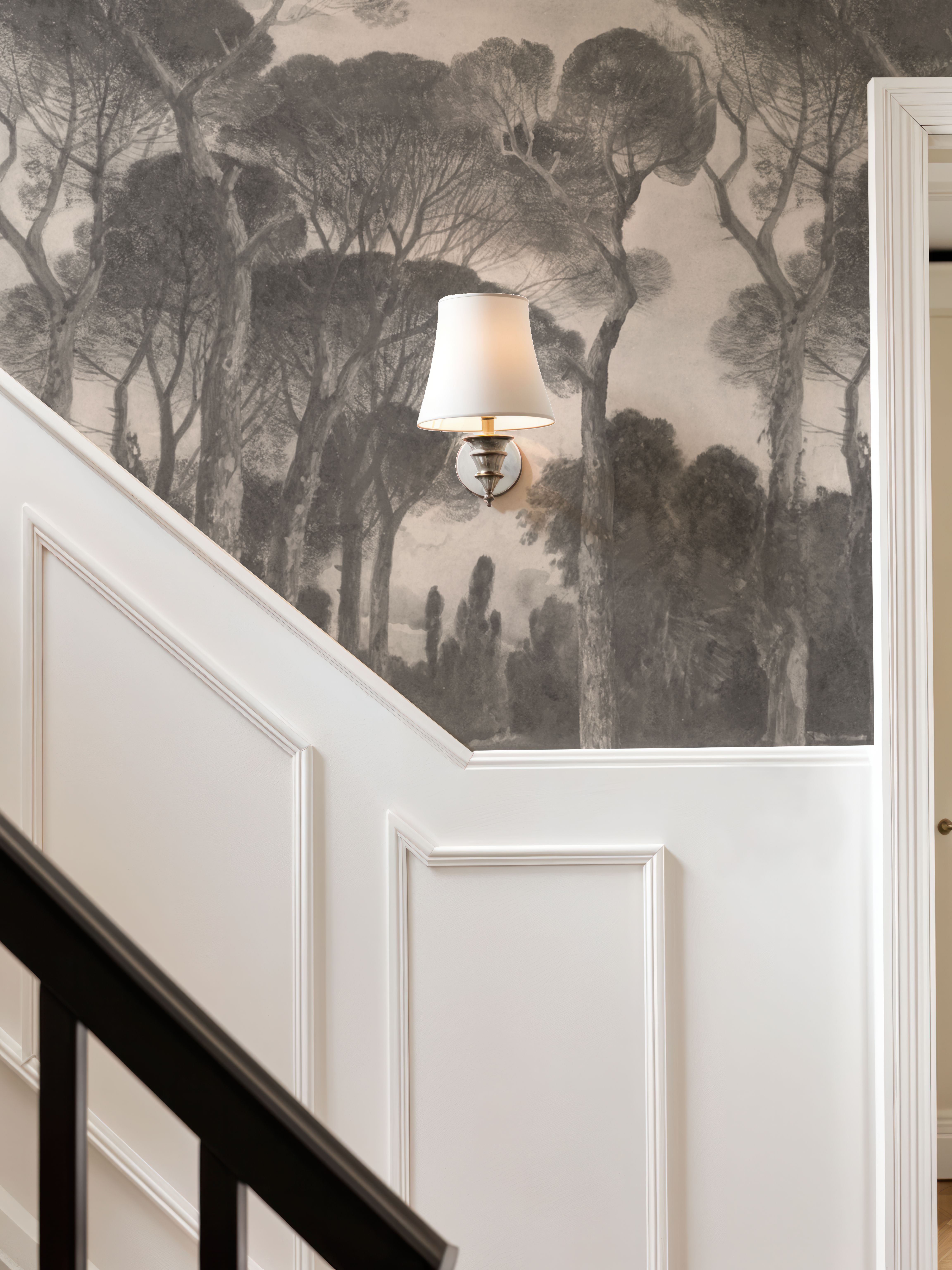 Umbrella Pines Landscape, Sepia