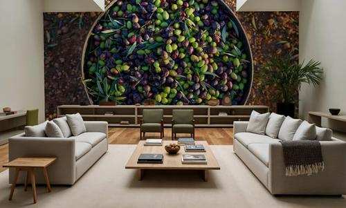 Olive Harvest