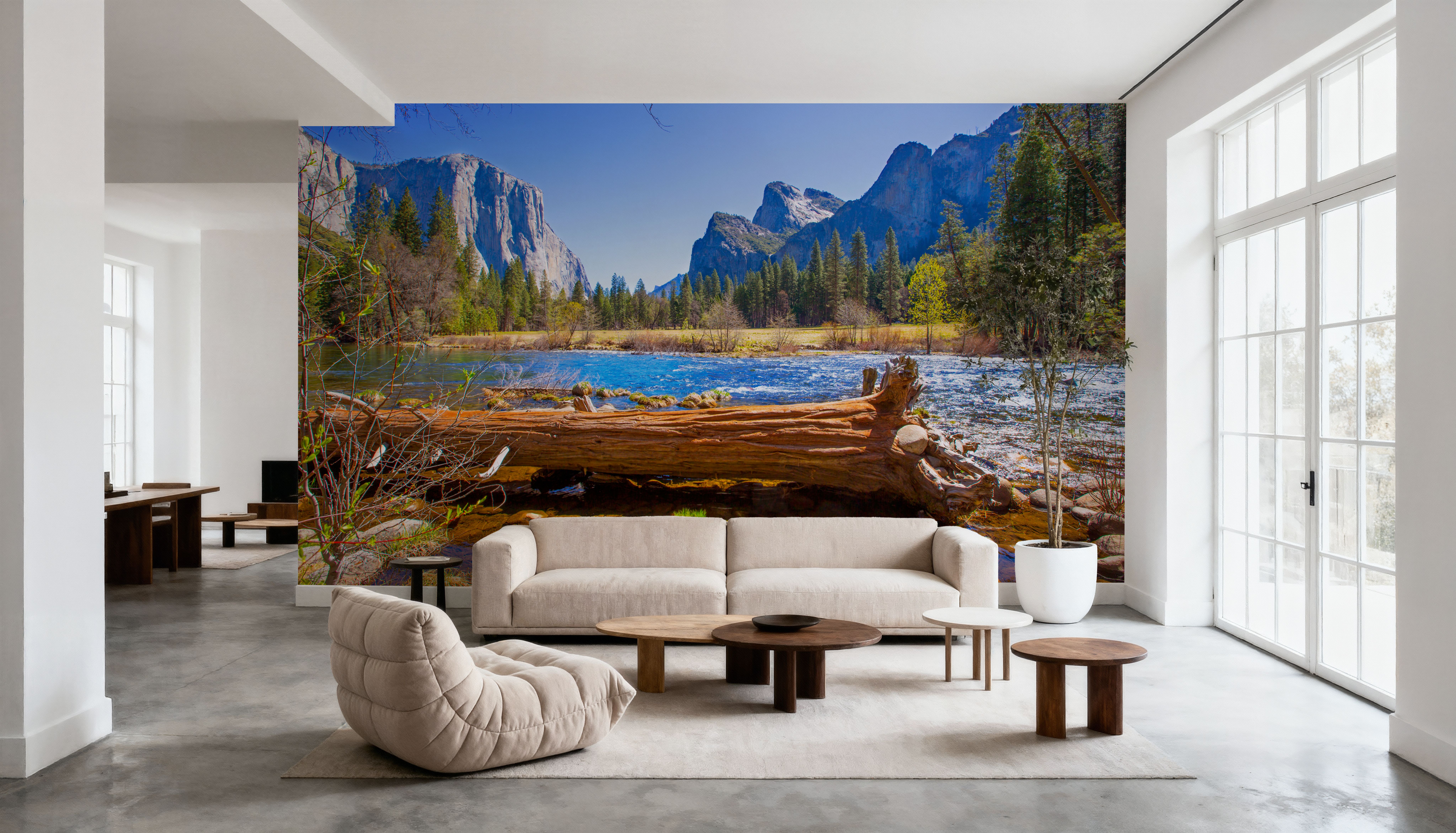 Yosemite Merced River