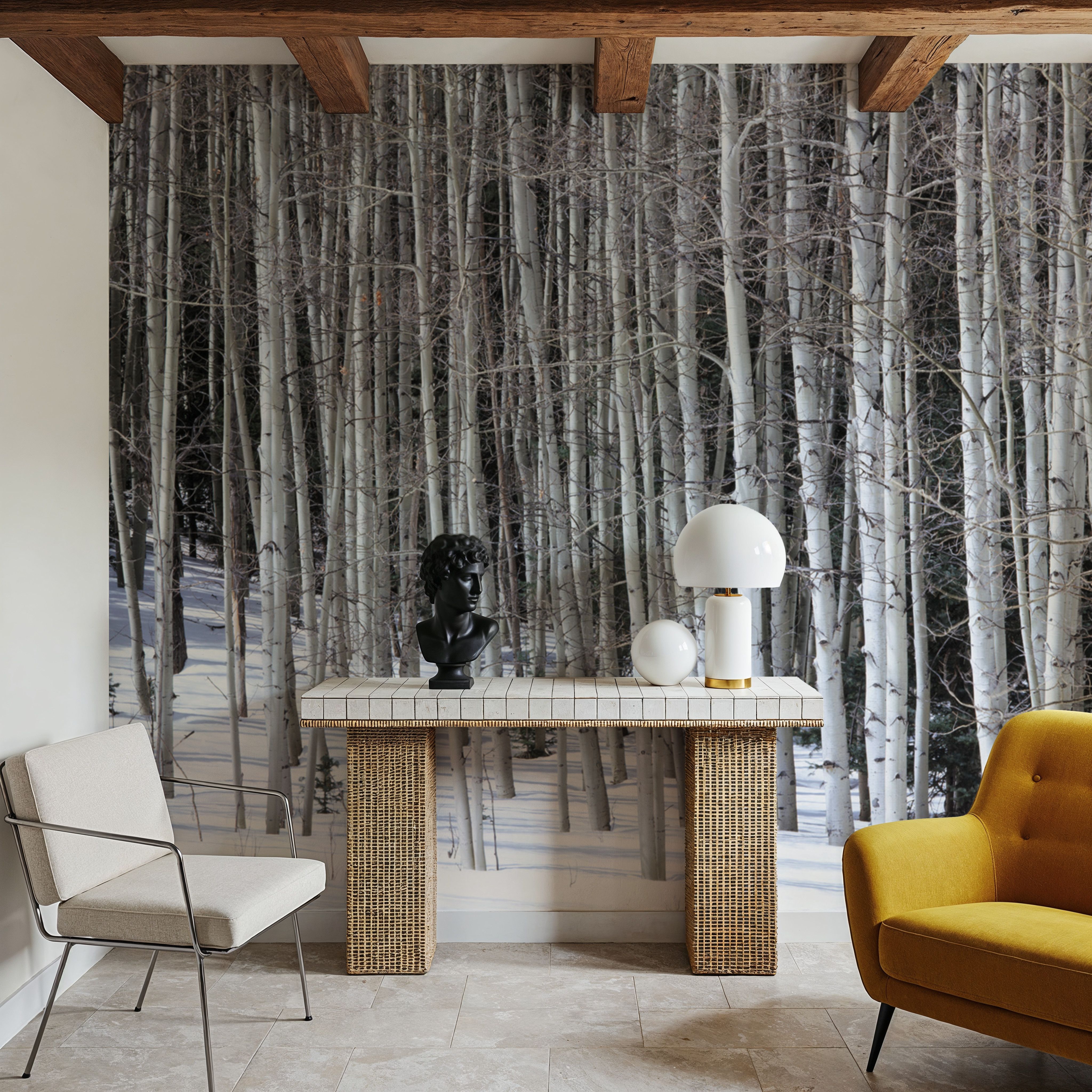 Winter Birch Stillness