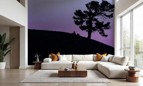 Limber Pine BW