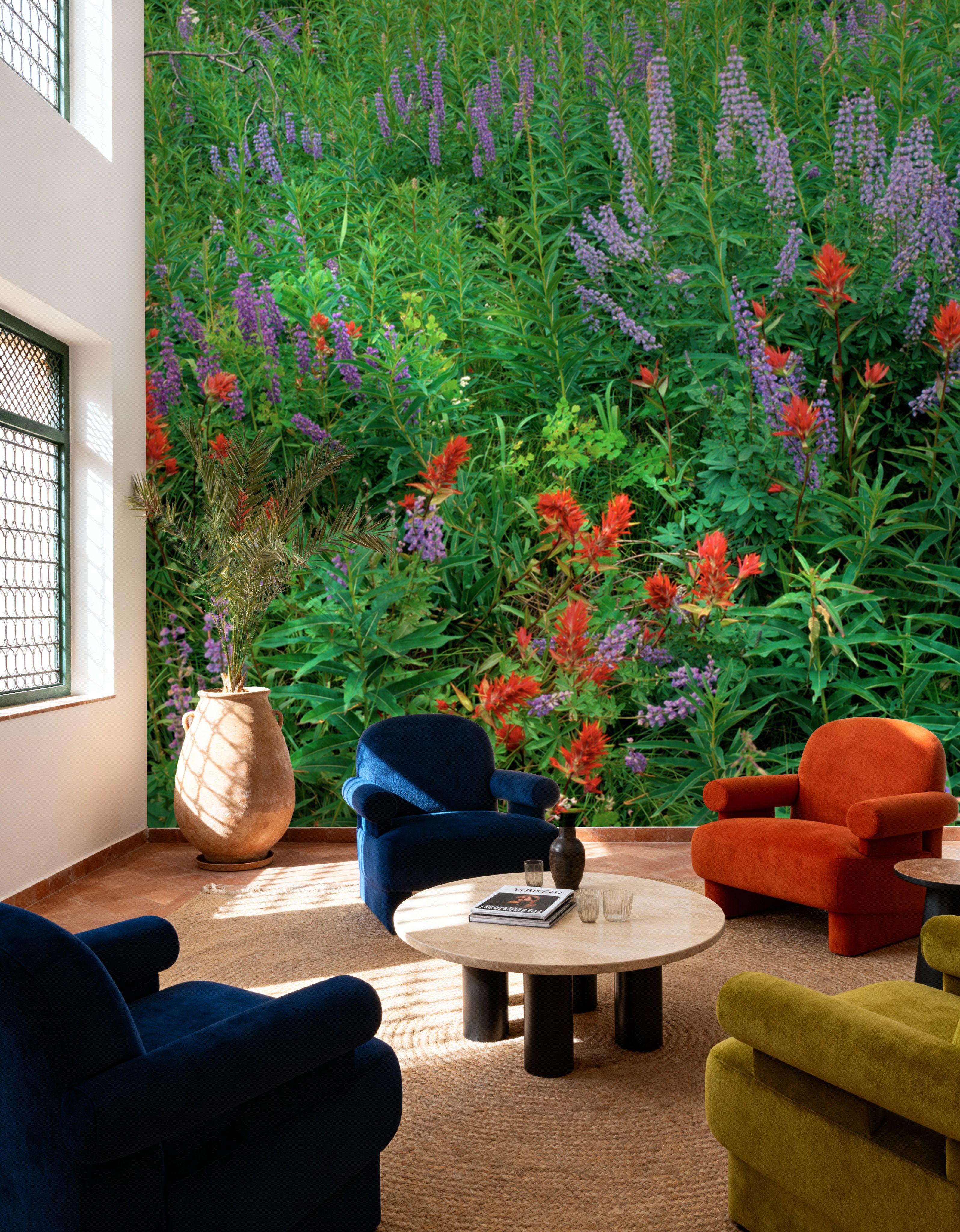 Yellowstone Wildflower