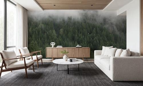Foggy Treetops