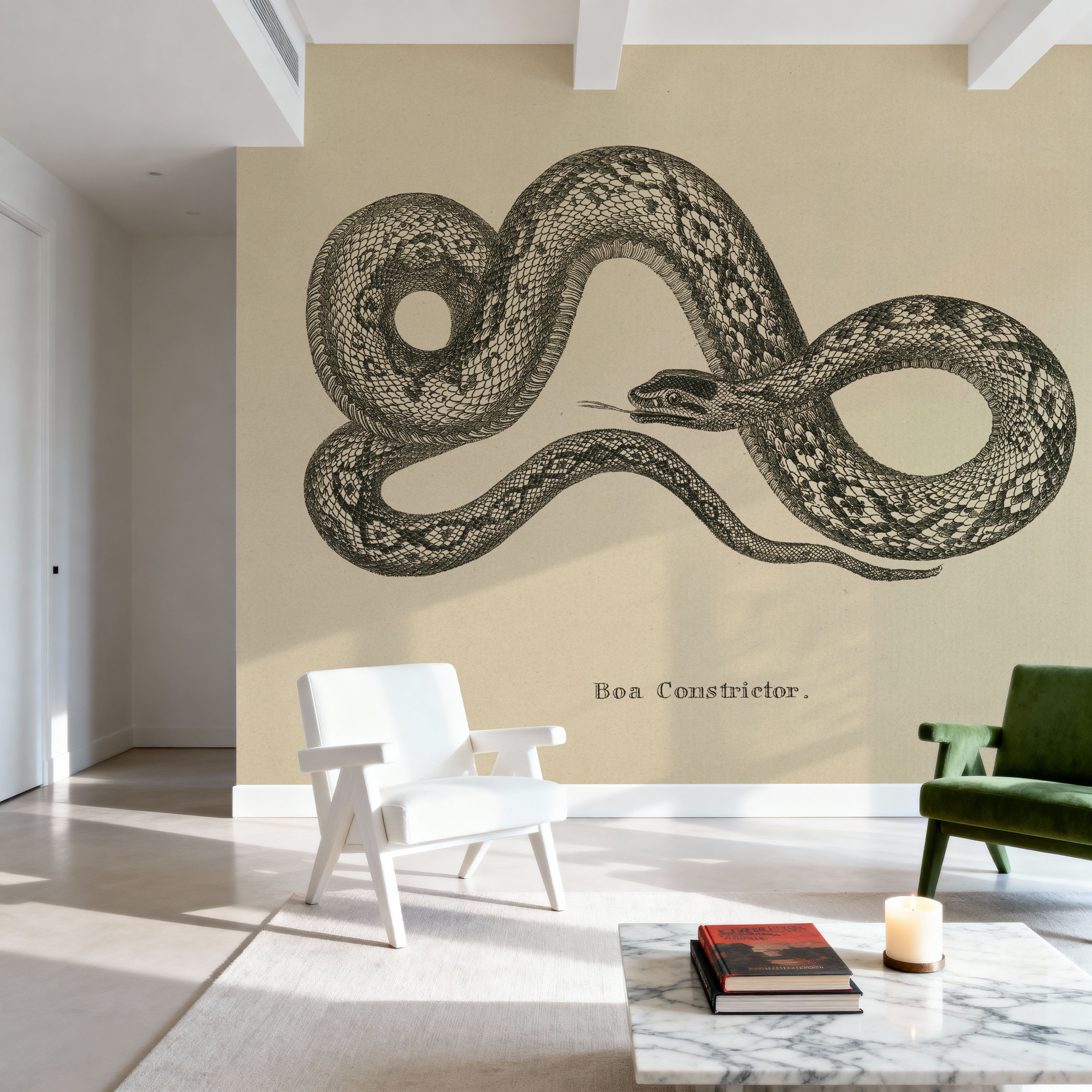 Vintage Boa Constrictor