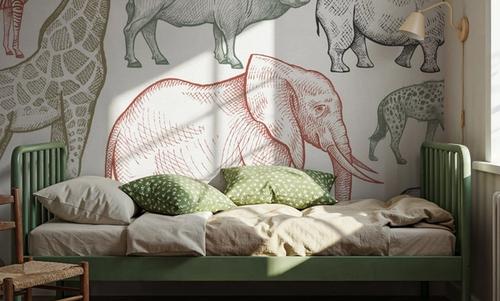African Animals