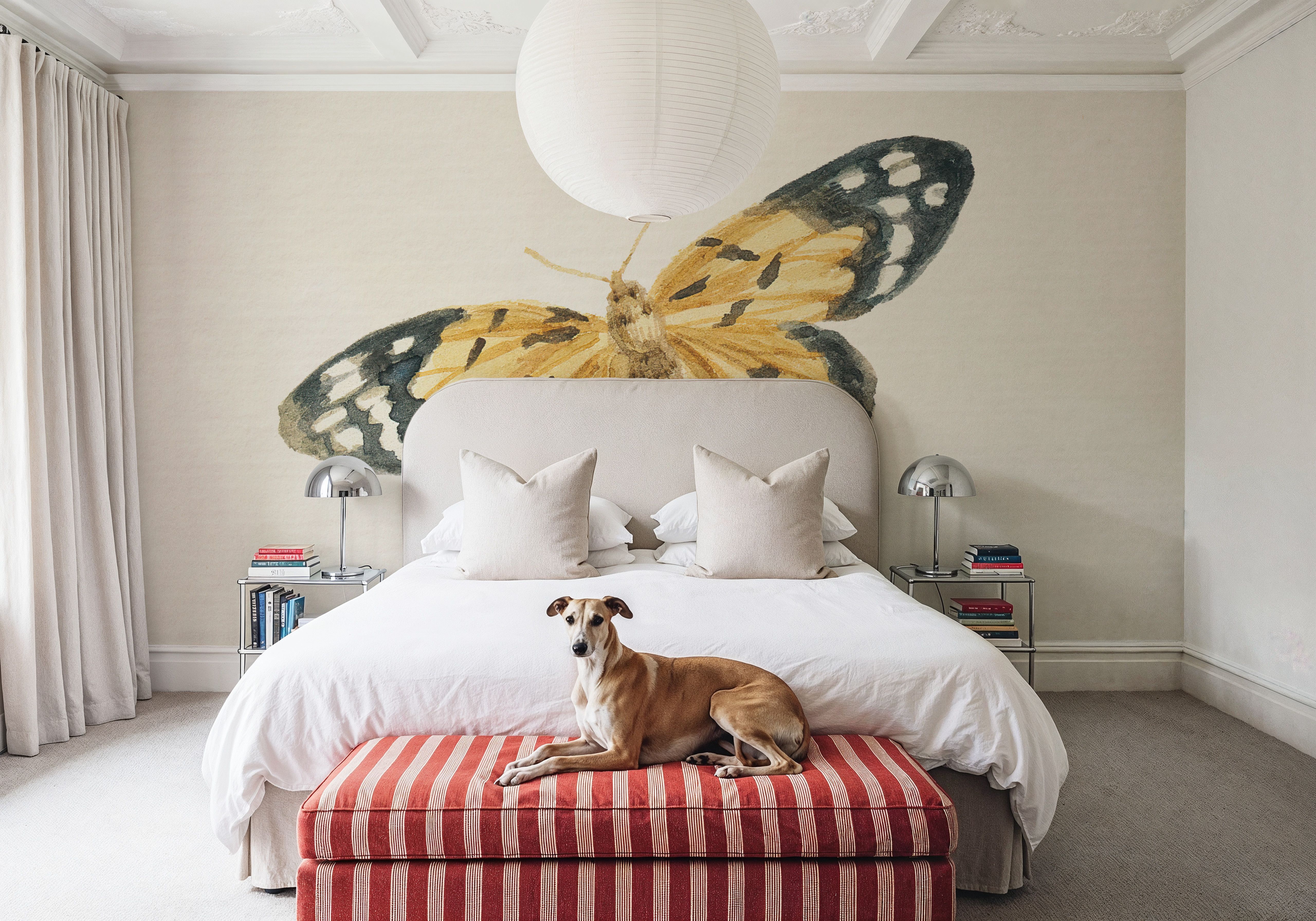 Honeybloom Butterfly II
