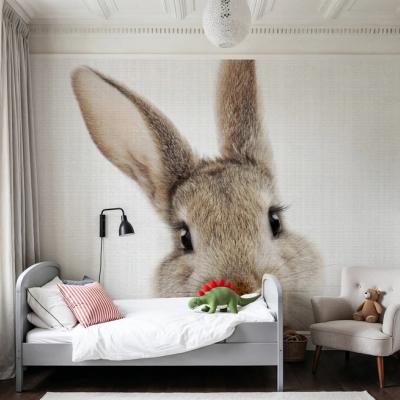 Peekaboo Bunny