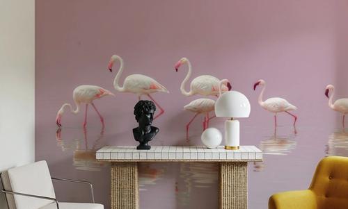 Flamingos