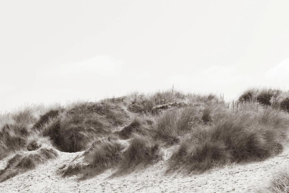 Soluna Dunes II