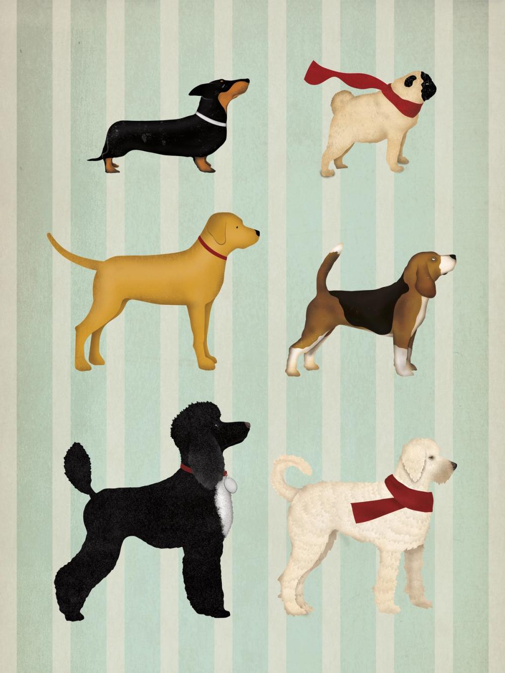 Dog Days Montage II