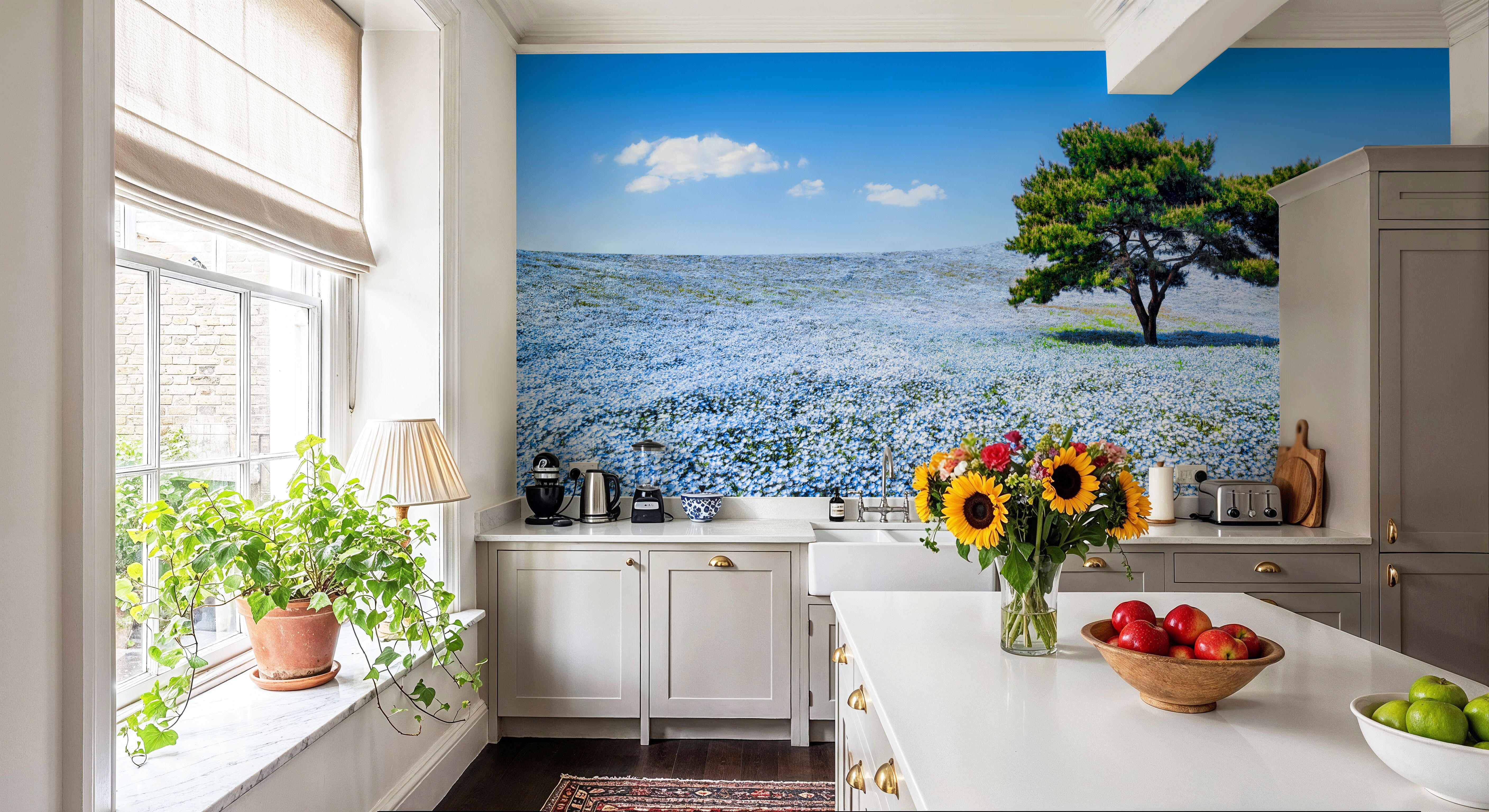 Baby Blue Eyes Nemophila