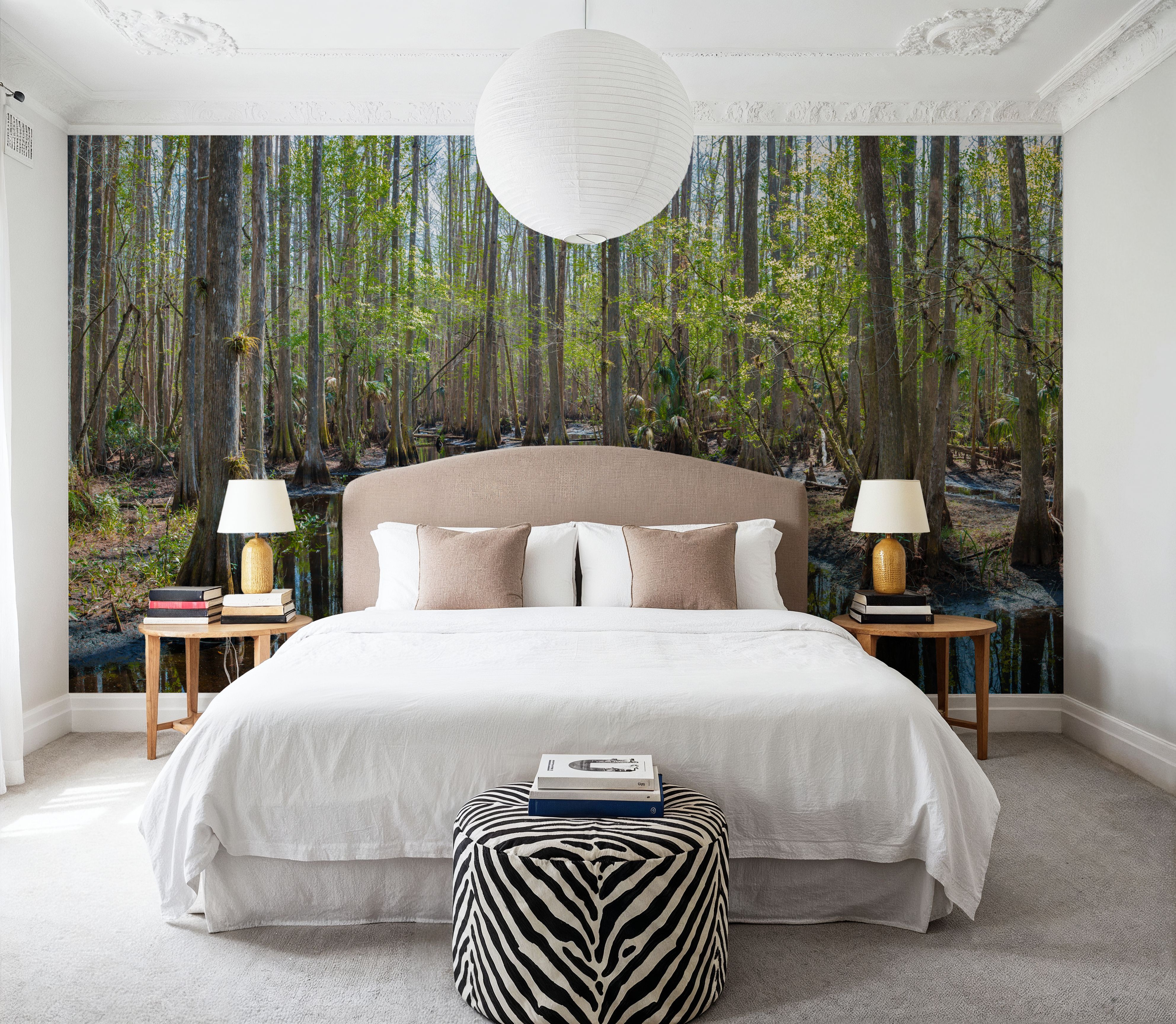 Highlands Hammock State Park