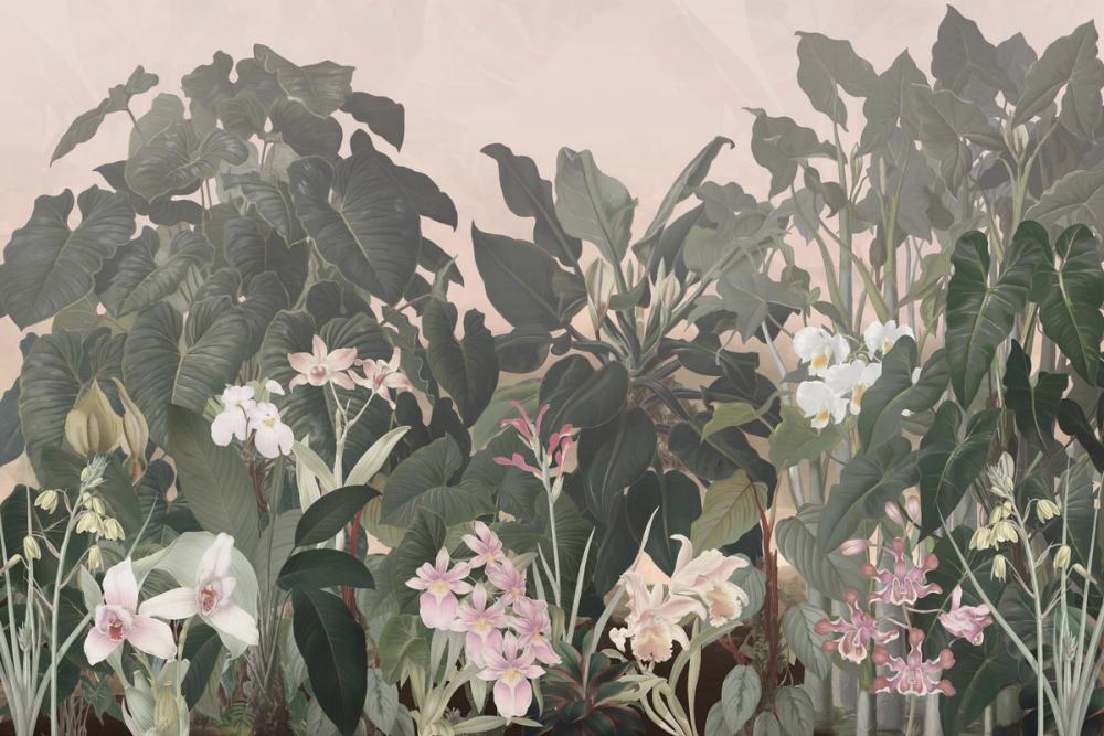 Walking to the Tropics Sepia