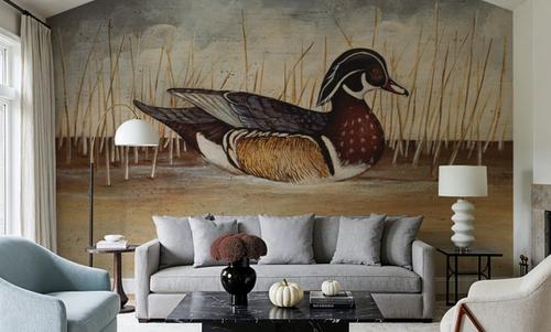 Wood Duck