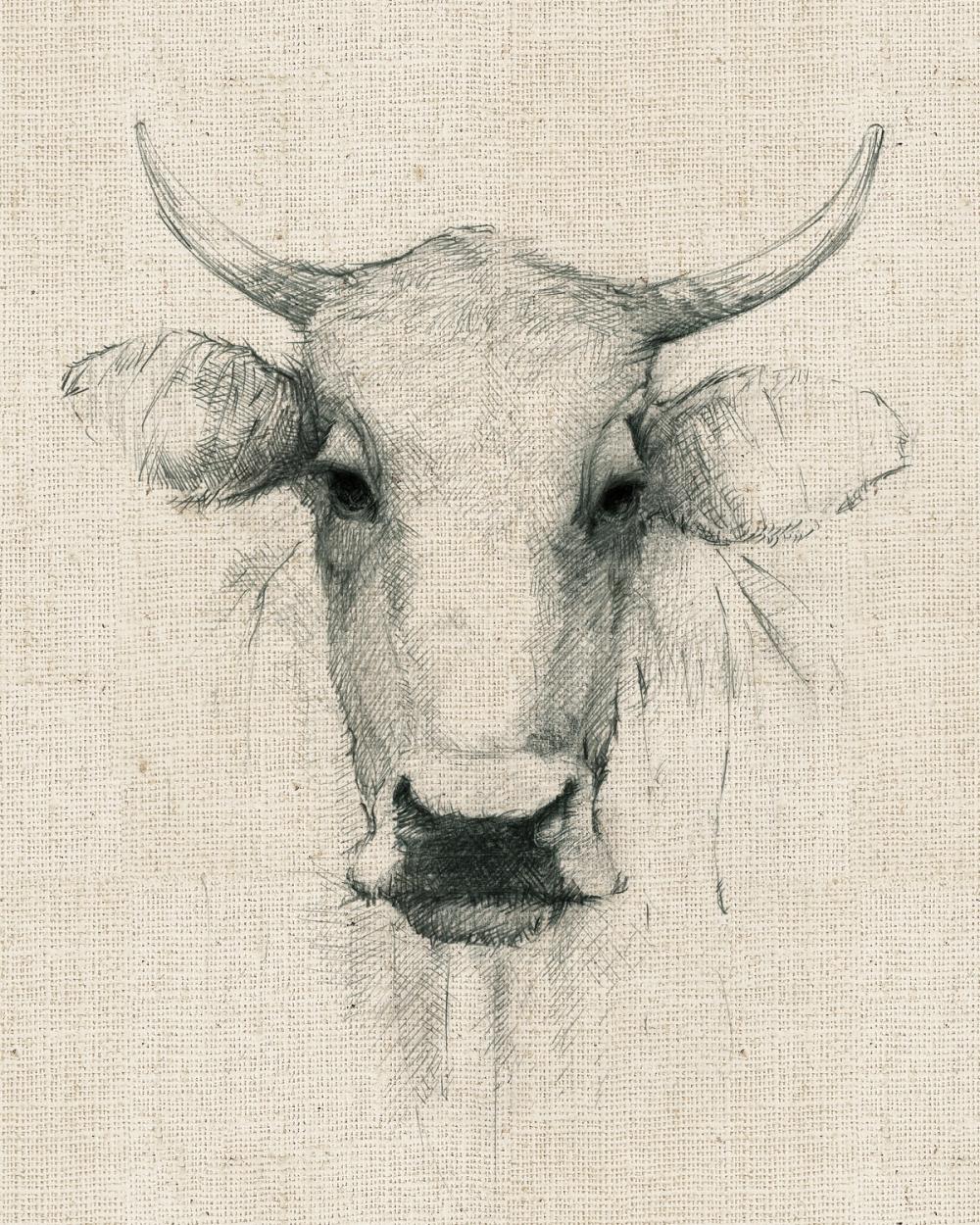 Cow Sketch on Burlap
