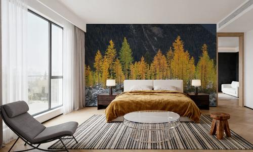 Alpine Larches