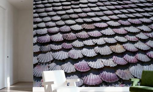 Mauve Seashell Mosaic