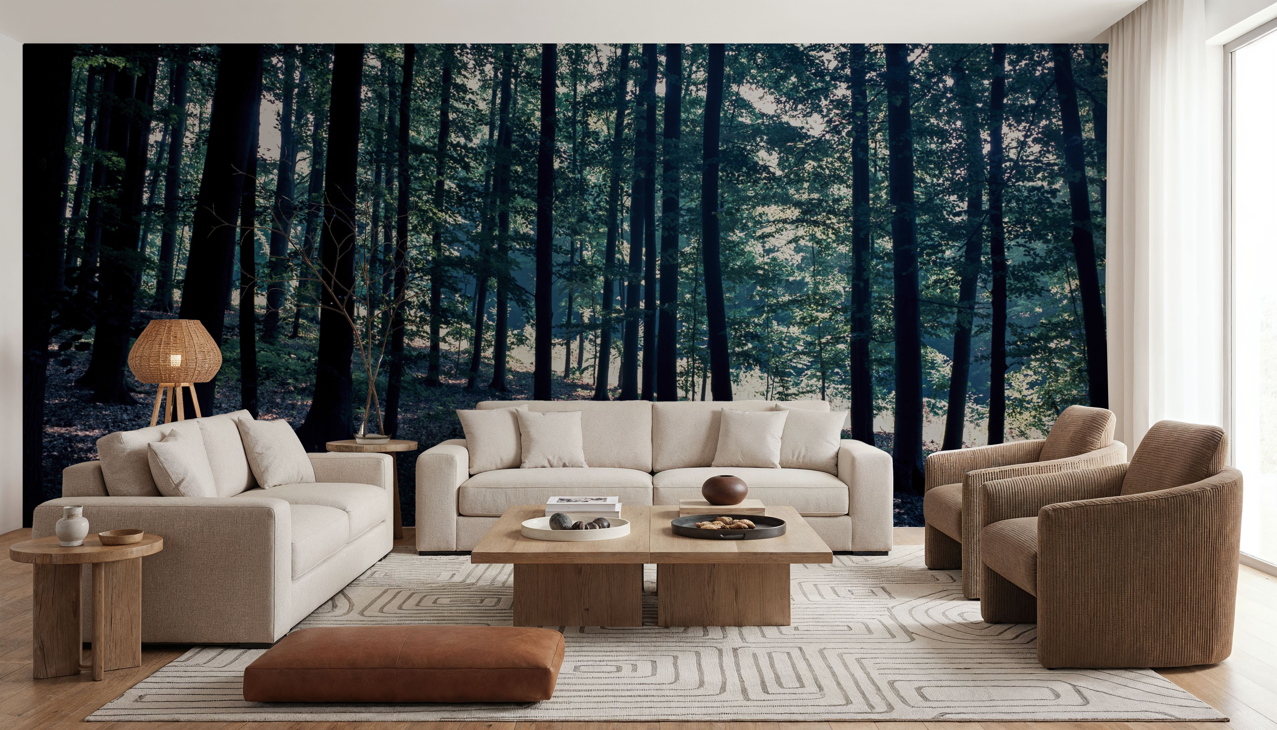 Dappled Forest Light