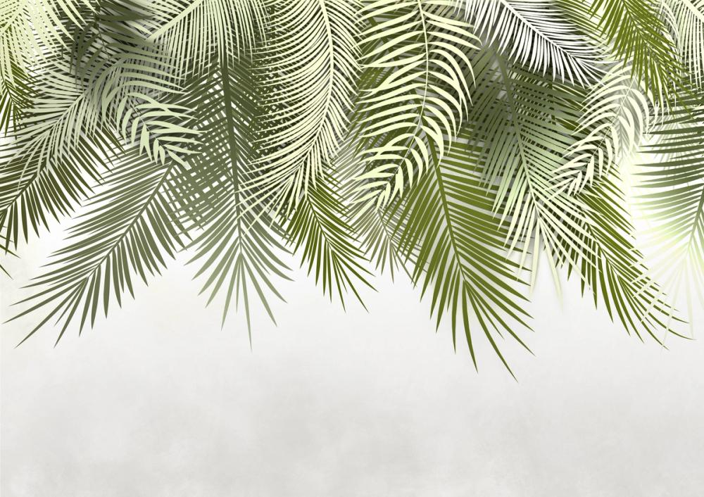 Home Grown Palms