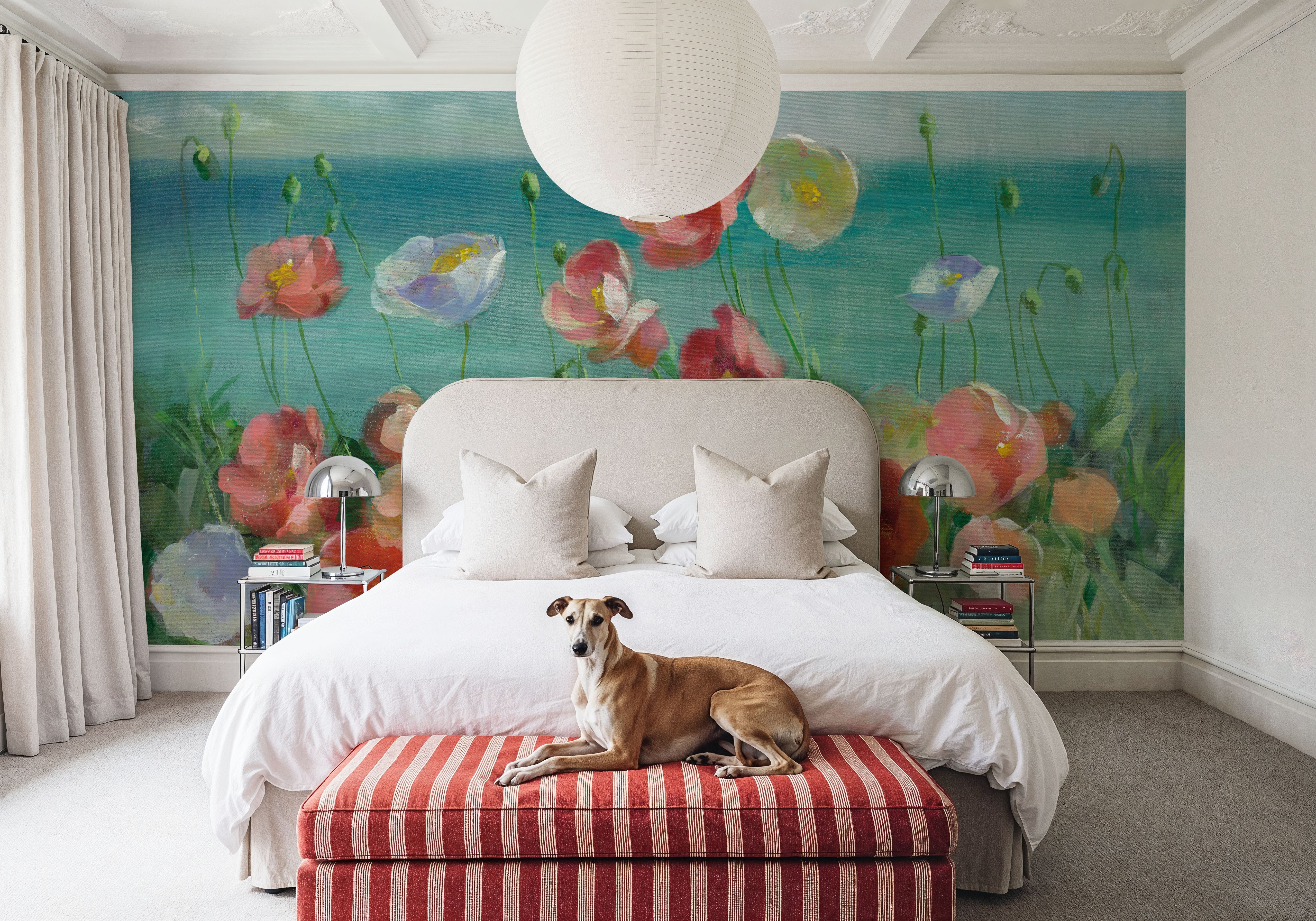 Coastal Poppies, Papel de parede