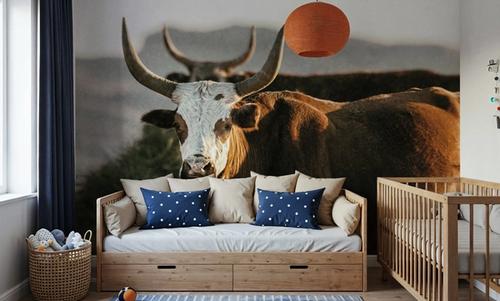Double Horns