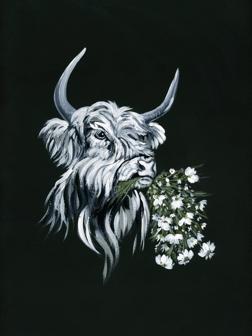Portrait of a Cow