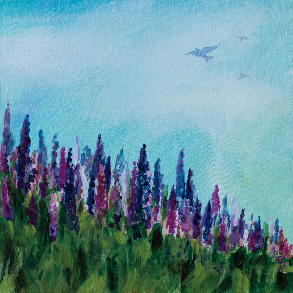 Swallows and Lupines