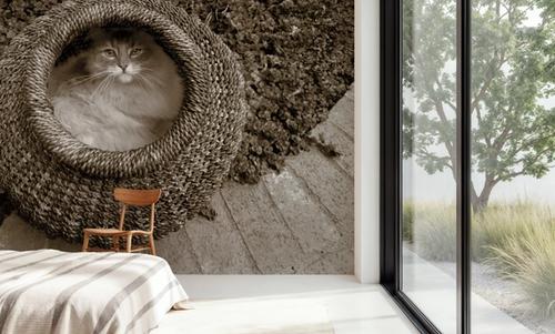 Cat In The Basket