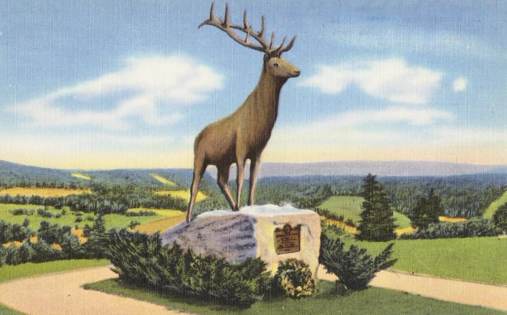 Deerfield - Screenprint Postcard