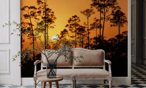 Forest Twilight Glow
