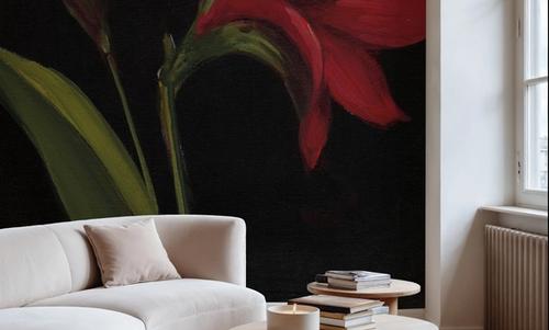 Amour Amaryllis