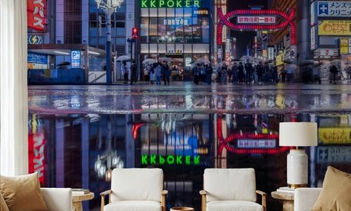 Kabukicho Nightlife Reflections
