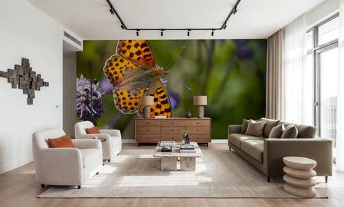 Butterfly Wings