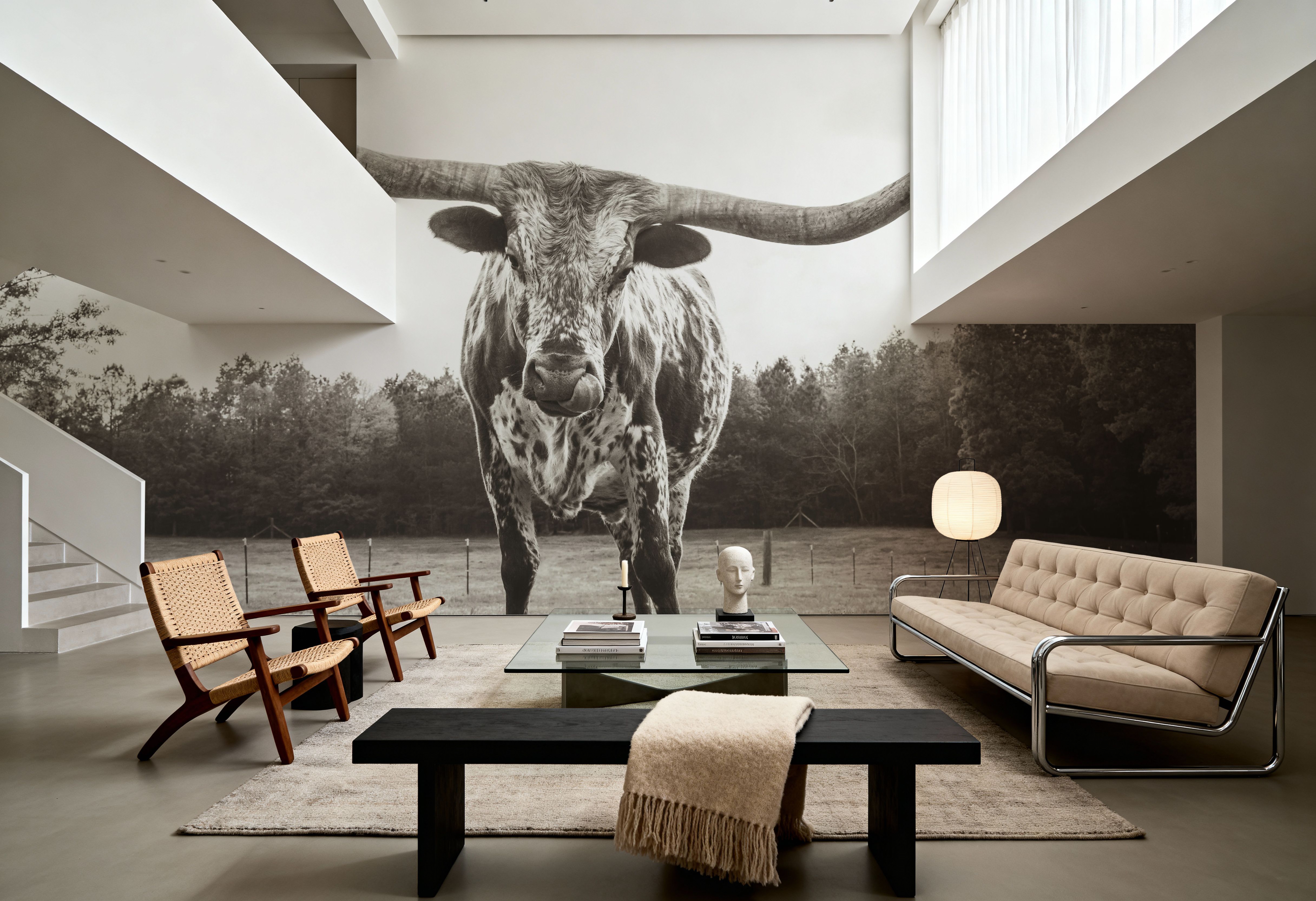 Longhorn Last Call BW No Tail